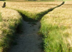 fork in road