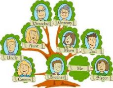 familytree6
