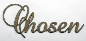 chosen3