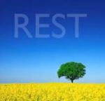 rest9