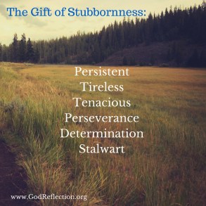 StubbornessA